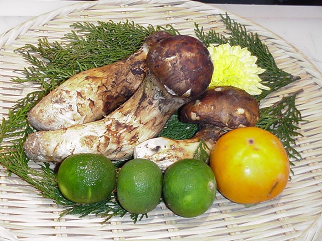 Kappo Ryokan Suimeisou Noda  Kültér fotó