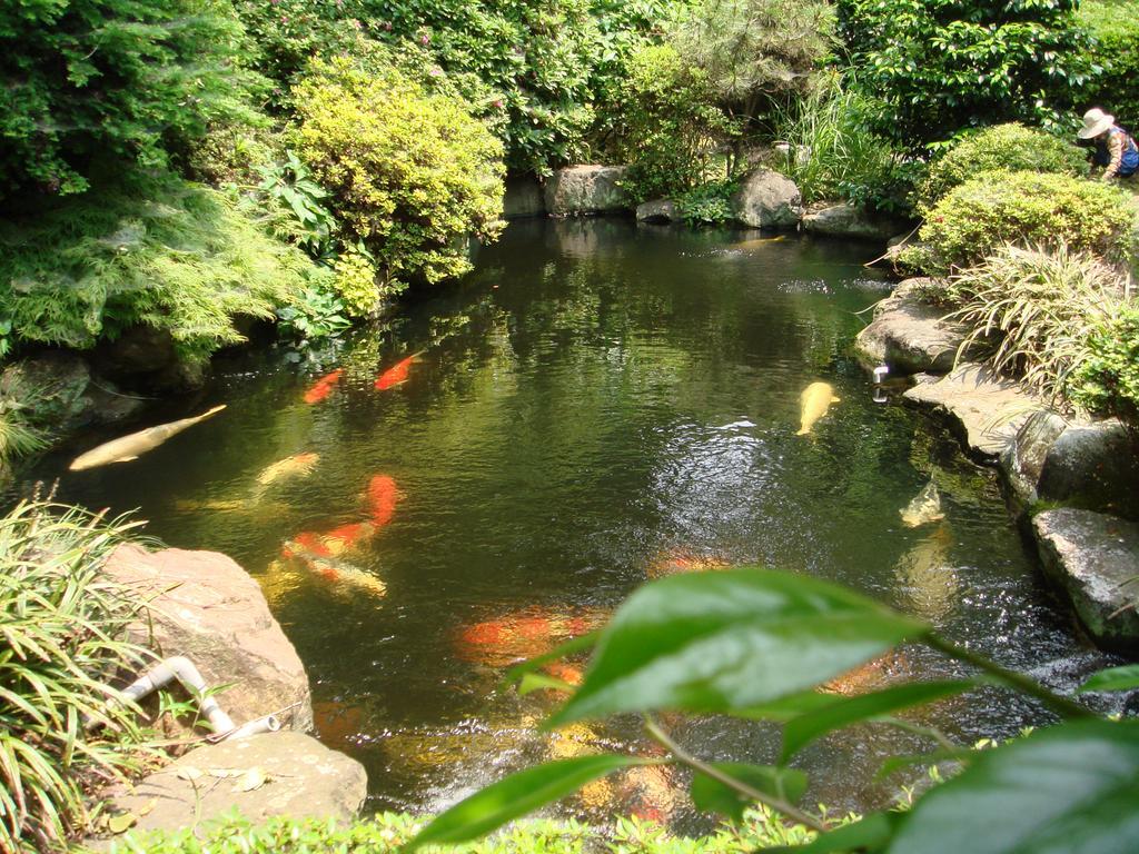 Kappo Ryokan Suimeisou Noda  Kültér fotó